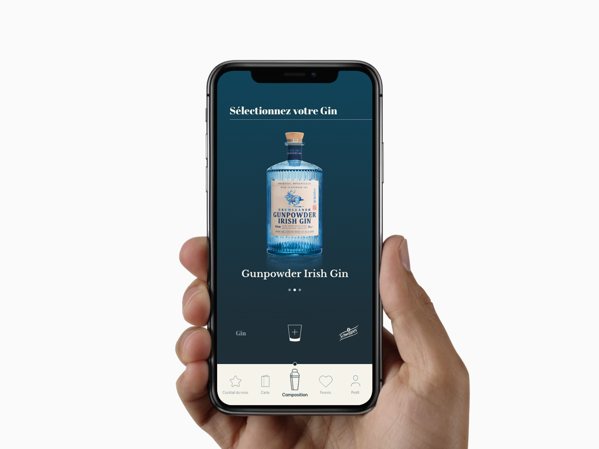 screenshot application gin